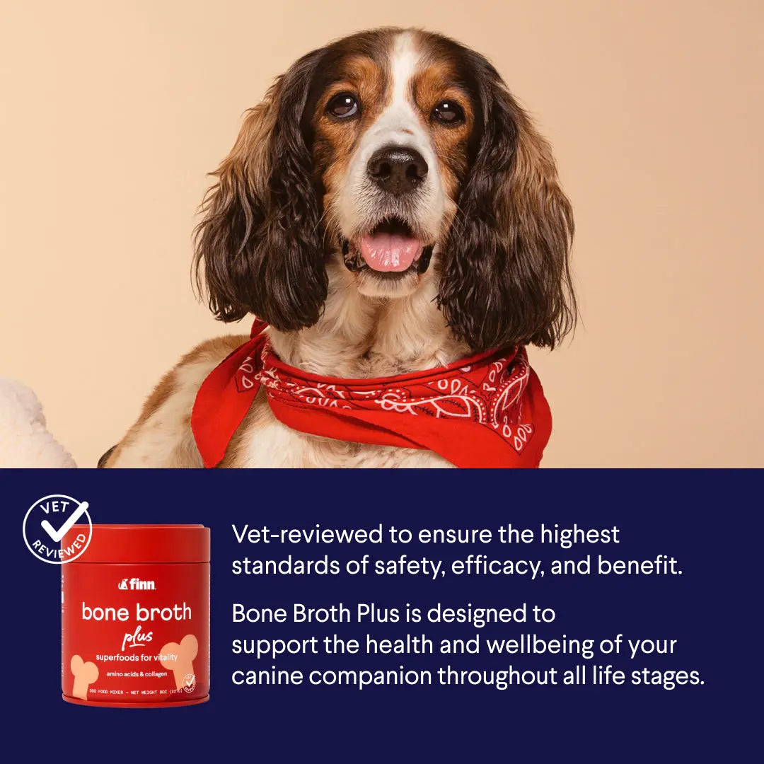 FINN Bone Broth plus Superfood Meal Topper for Dogs – Joint & Mobility Support Packed with Collagen & Amino Acids – Only 6 Ingredients | Powdered Meal Topper Supplement for Dogs