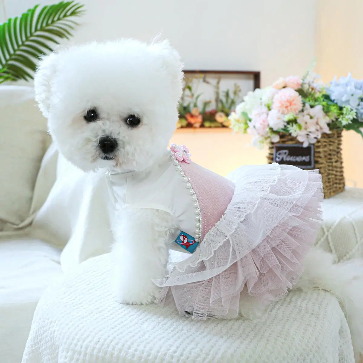Pet Dress, Cute Flower Decor Pet Dress, Pet Clothes for Small Dogs, Fashionable Pet Clothing for Dogs, Dog & Cat Clothing Supplies
