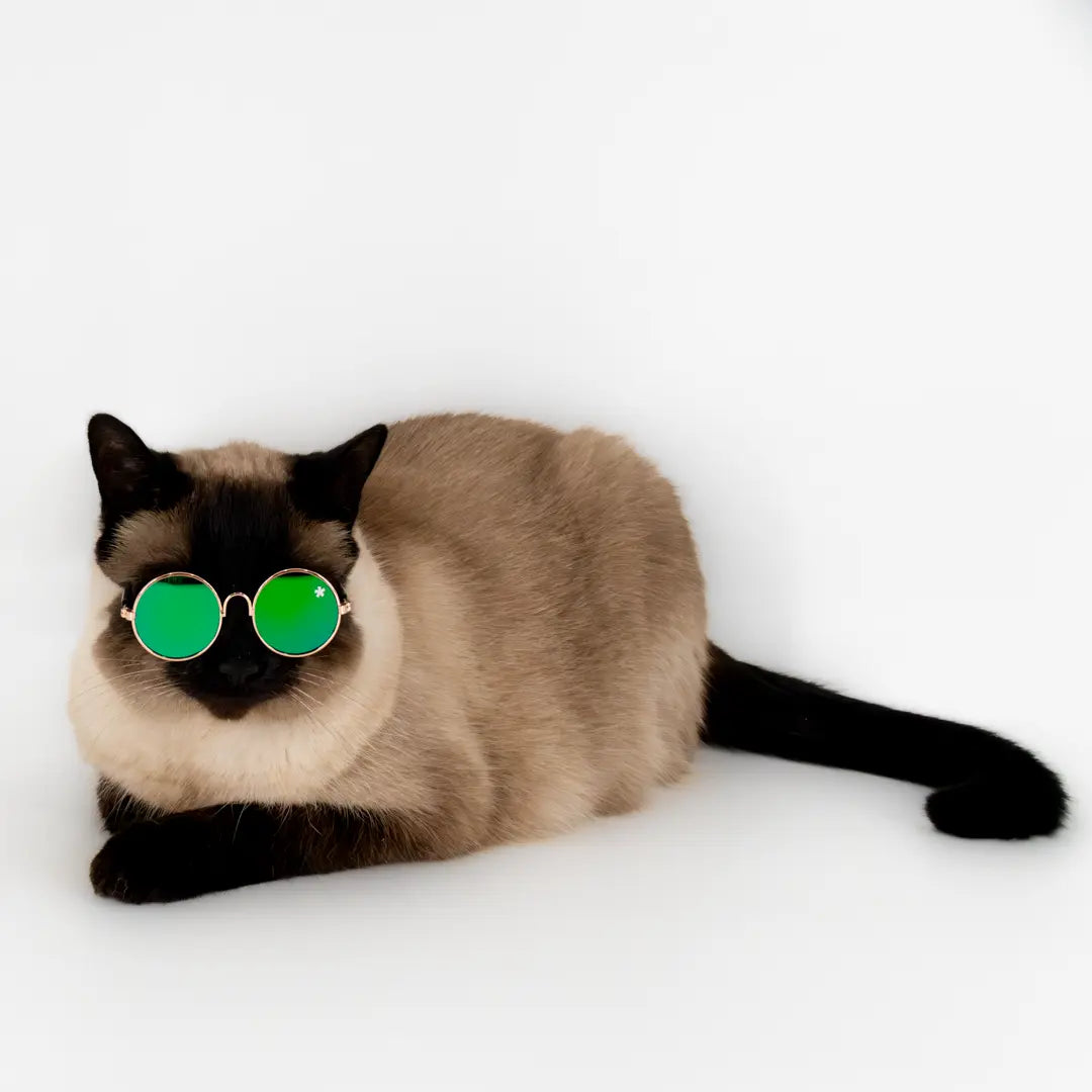Pet Specs - Pet Sunglasses