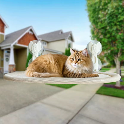 Wall Mounted Cat Hammock
