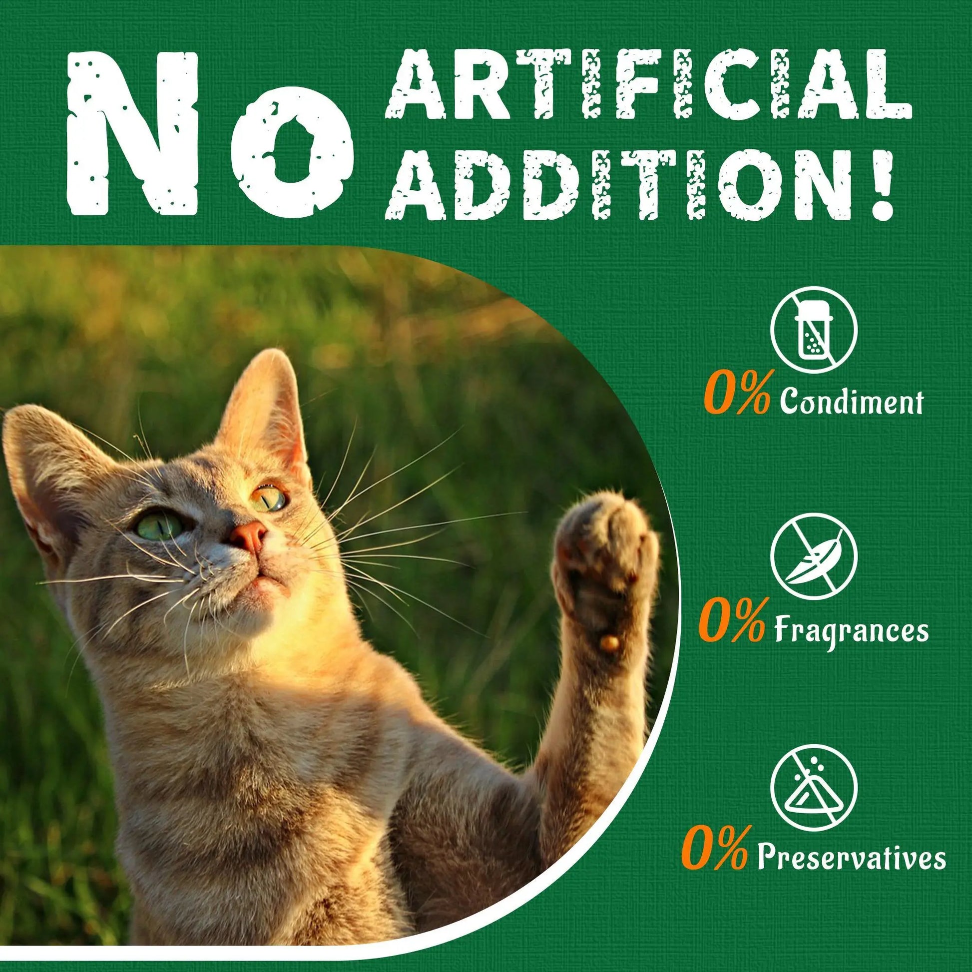 Salmon Oil Cat Treats