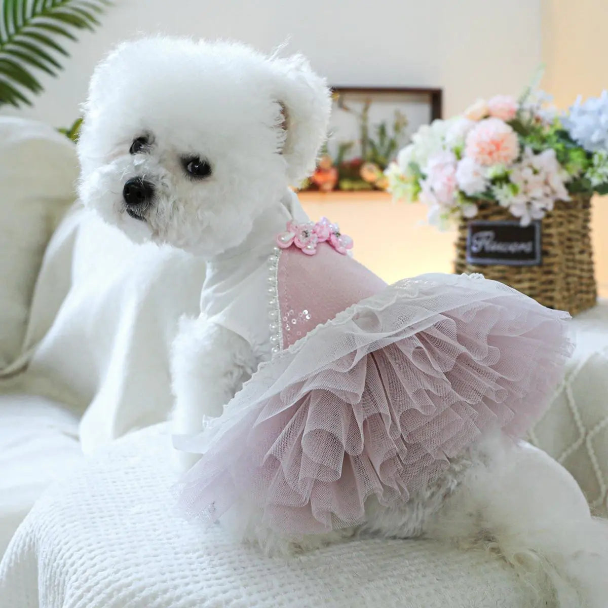 Pet Dress, Cute Flower Decor Pet Dress, Pet Clothes for Small Dogs, Fashionable Pet Clothing for Dogs, Dog & Cat Clothing Supplies