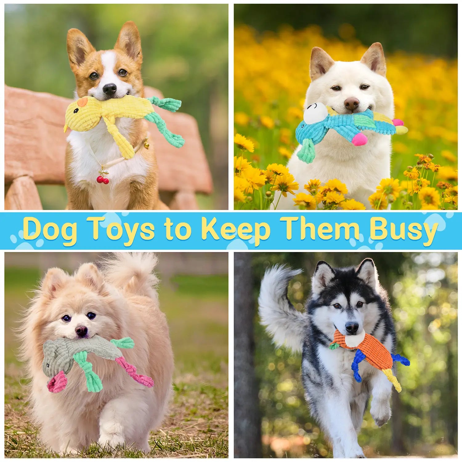 LECHONG 5Pcs Squeaky and Crinkle Dog Toys for Large, Medium, and Small Dogs - Puppy Toys to Keep Them Busy-Great Value Bundle Not for Aggressive Chewers