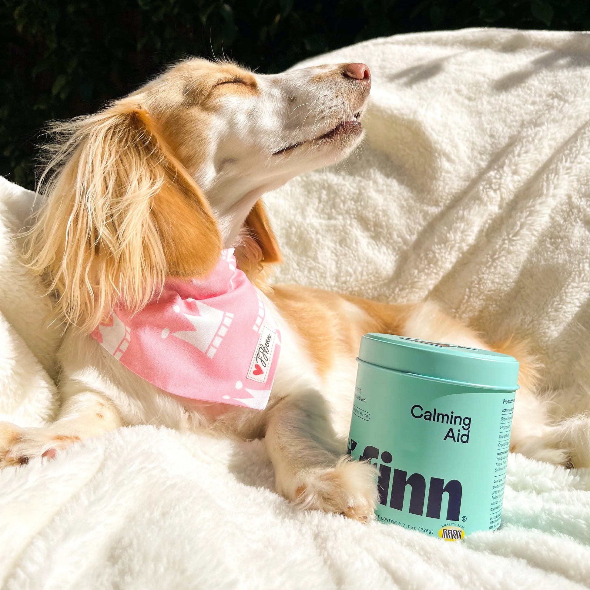 Finn Calming Aid 2-Pack – All-Natural Soft Chew Supplements for Dogs to Promote Relaxation and Calmness