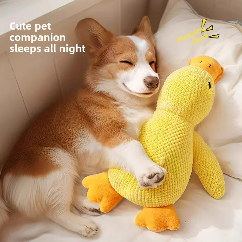 Durable Chew Plush Squeaky Dog Toys for Puppies, Teething & Self-Entertainment, Boredom Relief Pet Toys