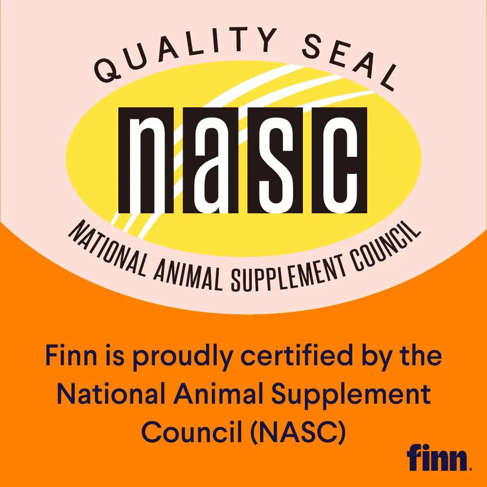 Hip & Joint - with Glucosamine, Chondroitin, MSM, Turmeric & Green-Lipped Mussel to Support Healthy Hips, Joints & Mobility