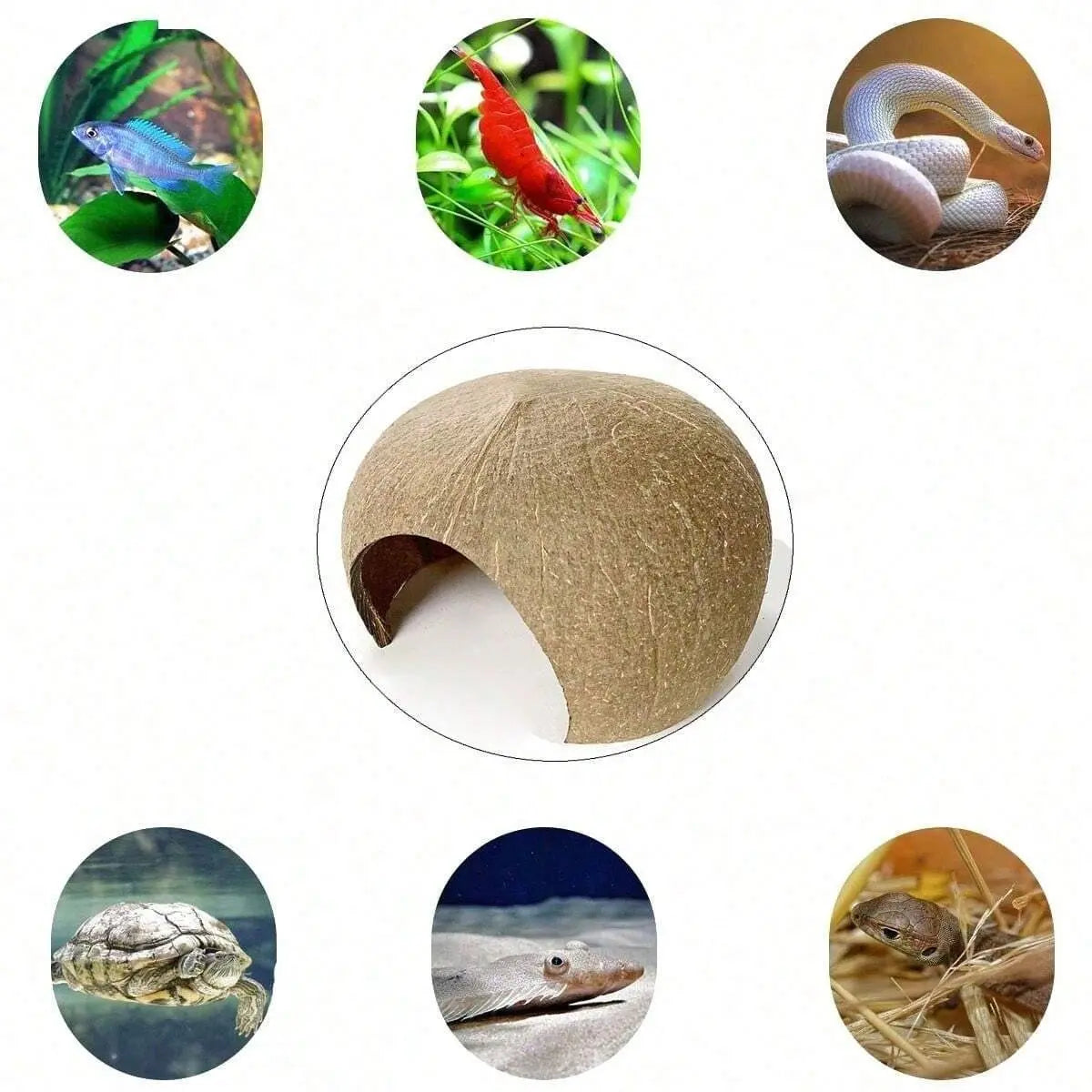 Coconut Shell Hideout Cave for Dwarf Hamsters & Small Pets, 3.9-5.1 Inch Size, Natural Material, Ideal Pet Accessory, Hamster Cage Habitat